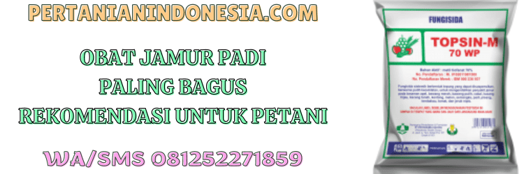 obat,jamur,obat jamur,pestisida,fungisida,pertanian indonesia